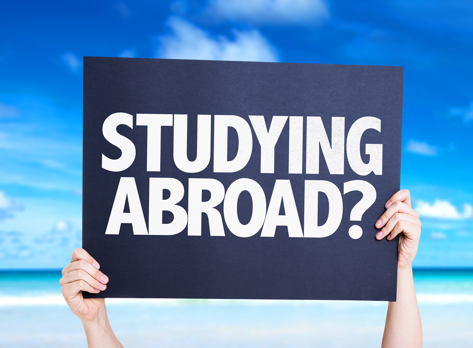 Study abroad and international education